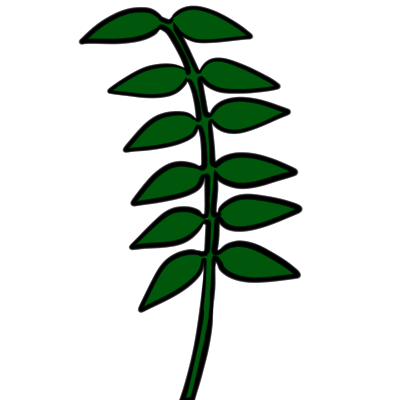 an abruptly pinnate compound leaf.